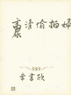 高清偷拍妇女撒尿