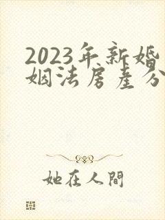 2023年新婚姻法房产分割