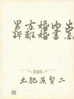 男方婚内出轨起诉离婚书怎么写