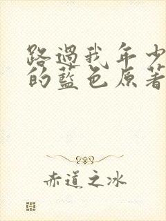 路过我年少时光的蓝色原著小说