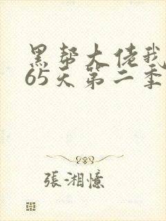 黑帮大佬我的365天第二季电视剧免费观看