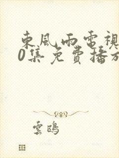 东风雨电视剧40集免费播放在线观看封面