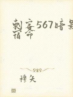 刺客567暗影宿命