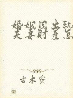 婚姻因出轨离婚夫妻财产怎么分配