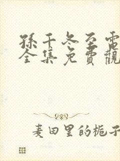 孙千冬至电视剧全集免费观看