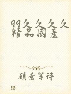 99久久久久久精品国产封面