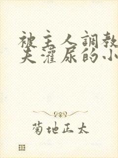 被主人调教成荡夫灌尿的小说