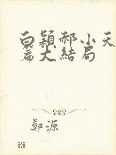 白颖郝小天番外篇大结局封面