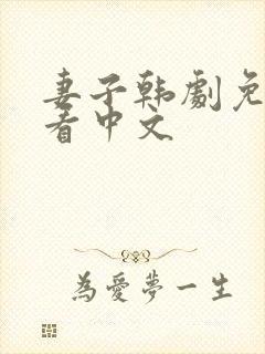 妻子韩剧免费观看中文