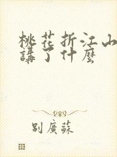桃花折江山小说讲了什么封面