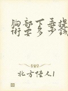 胸部下垂提拉手术要多少钱