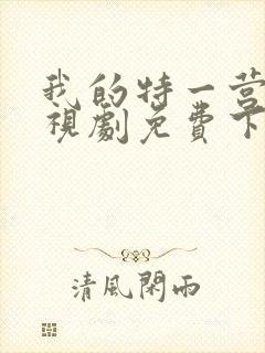 我的特一营 电视剧免费下载
