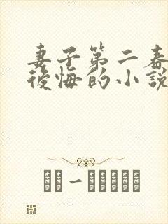 妻子第二春后又后悔的小说