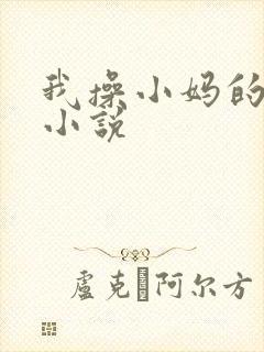 我操小妈的高h小说