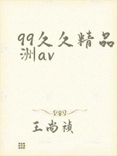 99久久精品亚洲av