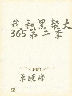 我和黑帮大佬的365第二季