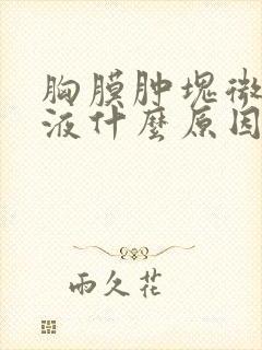 胸膜肿块微量积液什么原因
