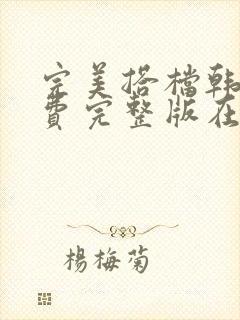 完美搭档韩剧免费完整版在线观看