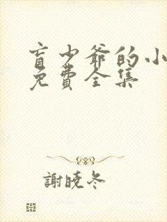 盲少爷的小女仆免费全集