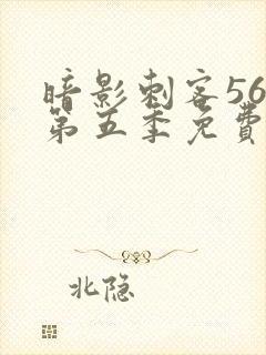 暗影刺客567第五季免费观看