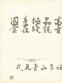 国产极品高潮无套在线观看