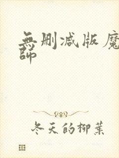无删减版魔道祖师封面
