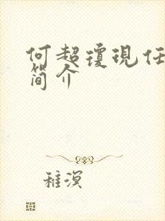 何超琼现任丈夫简介