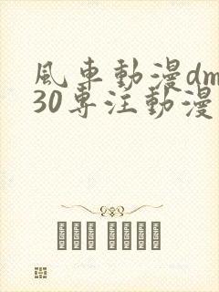 风车动漫dm530专注动漫的门户