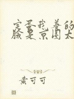 完蛋我养的小白脸是京圈太子爷短剧免费观看