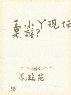 王小丫现任丈夫是谁?