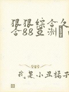 狠狠综合久久综合88亚洲аⅴ
