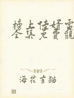 榜上佳婿电视剧全集免费观看高清2025在线