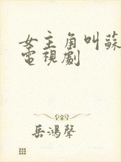 女主角叫苏沐的电视剧封面