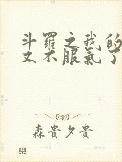 斗罗之我的系统又不服气了无弹窗
