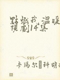 点燃我温暖你电视剧14集