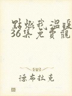 点燃我温暖你第36集免费观看