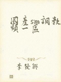 国产sm调教视频一区