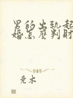 男的出轨起诉离婚怎么判财产封面