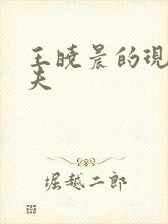 王晓晨的现任丈夫