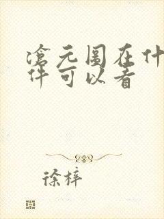 沧元图在什么软件可以看