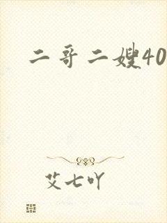 二哥二嫂40集