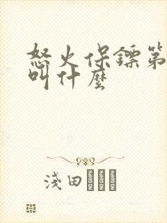 怒火保镖第二部叫什么