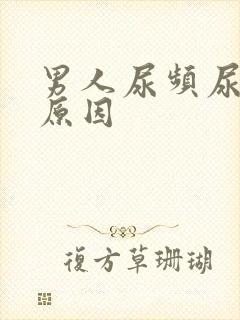 男人尿频尿不尽原因