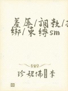 羞辱/调教/捆绑/束缚sm