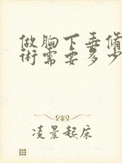 做胸下垂修正手术需要多少钱