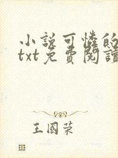小说可怜的晓絮txt免费阅读封面