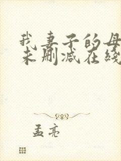 我妻子的母亲2未删减在线播放