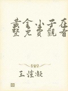 黄金小子在线完整免费观看高清