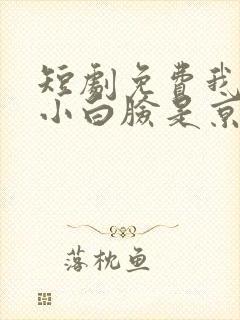短剧免费我养的小白脸是京圈太子爷