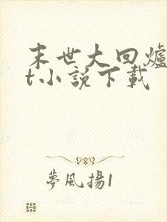 末世大回炉txt小说下载